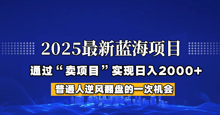 2025年蓝海项目，如何通过“网创项目”日入2000+云米网创-专注分享网络创业落地实操课程 – 全网首发_高质量项目输出云米网创