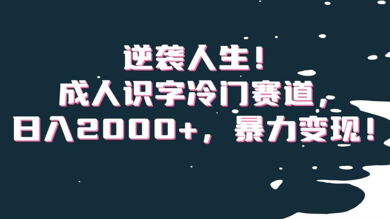 逆袭人生！成人识字冷门赛道，日入2000+，暴力变现！【揭秘】云米网创-专注分享网络创业落地实操课程 – 全网首发_高质量项目输出云米网创
