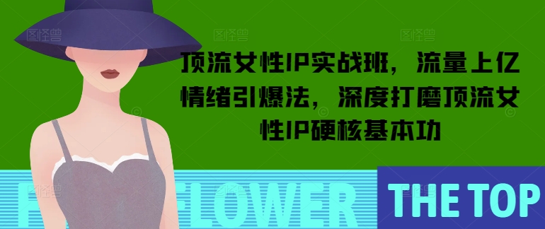顶流女性IP实战班，流量上亿情绪引爆法，深度打磨顶流女性IP硬核基本功云米网创-专注分享网络创业落地实操课程 – 全网首发_高质量项目输出云米网创