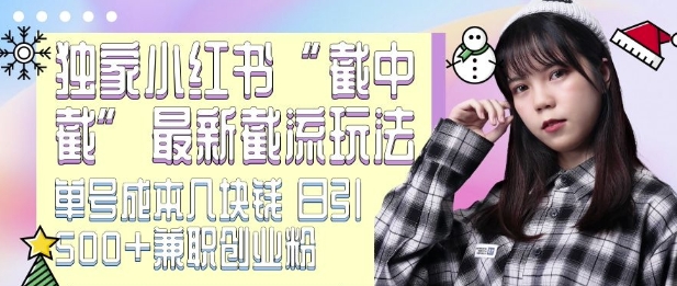 最新小红书截流玩法 独家截中截 单号成本几块钱 日引500+CY粉JZ粉云米网创-专注分享网络创业落地实操课程 – 全网首发_高质量项目输出云米网创