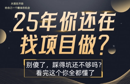 25年，你还在疯狂的找项目吗？别傻了，看完这个你都懂了【揭秘】云米网创-专注分享网络创业落地实操课程 – 全网首发_高质量项目输出云米网创