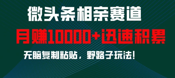 微头条相亲赛道，迅速积累，无脑复制粘贴，野路子玩法，月入1w云米网创-专注分享网络创业落地实操课程 – 全网首发_高质量项目输出云米网创