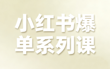 尼采老师·小红书爆单系列课云米网创-专注分享网络创业落地实操课程 – 全网首发_高质量项目输出云米网创