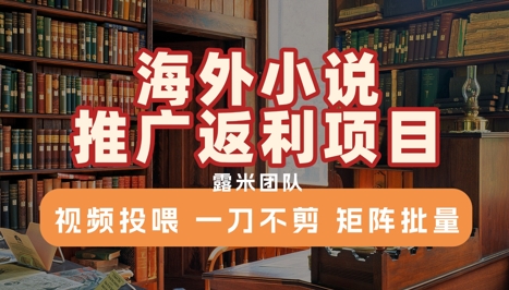 海外小说推广返利项目，视频投喂， 一刀不剪，矩阵批量云米网创-专注分享网络创业落地实操课程 – 全网首发_高质量项目输出云米网创
