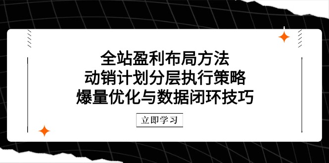 全站盈利布局方法：动销计划分层执行策略，爆量优化与数据闭环技巧云米网创-专注分享网络创业落地实操课程 – 全网首发_高质量项目输出云米网创