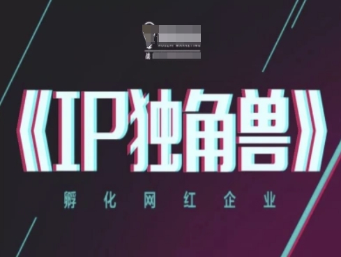 IP独角兽，孵化网红企业，ip教程云米网创-专注分享网络创业落地实操课程 – 全网首发_高质量项目输出云米网创