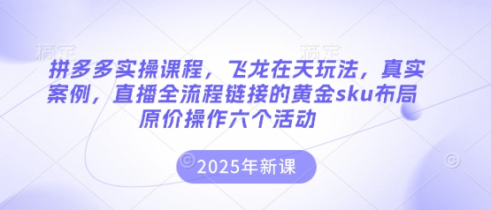 拼多多实操课程，飞龙在天玩法，真实案例，直播全流程链接的黄金sku布局原价操作六个活动云米网创-专注分享网络创业落地实操课程 – 全网首发_高质量项目输出云米网创