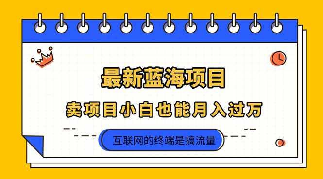 2025年最新蓝海项目，卖项目小白也能月入过万云米网创-专注分享网络创业落地实操课程 – 全网首发_高质量项目输出云米网创