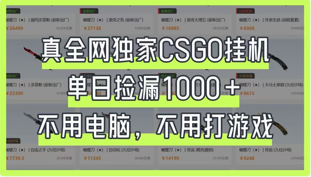 真全网独家CSGO挂机，单日捡漏1000+，不用电脑，不用养号云米网创-专注分享网络创业落地实操课程 – 全网首发_高质量项目输出云米网创