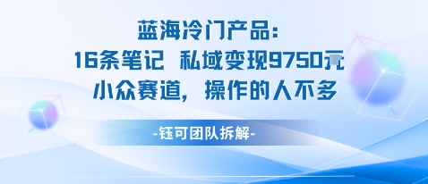 蓝海项目：16条笔记私域变现9750米小众赛道操作的人不多云米网创-专注分享网络创业落地实操课程 – 全网首发_高质量项目输出云米网创