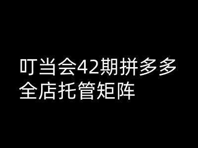 叮当会拼多多打爆班原创高阶技术第42期，拼多多全店托管矩阵云米网创-专注分享网络创业落地实操课程 – 全网首发_高质量项目输出云米网创