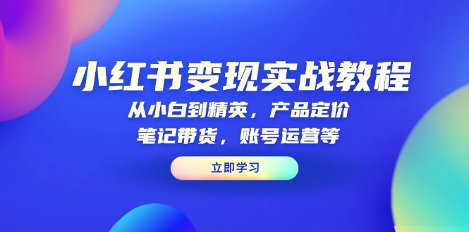 小红书变现实战教程：从小白到精英，产品定价，笔记带货，账号运营等云米网创-专注分享网络创业落地实操课程 – 全网首发_高质量项目输出云米网创