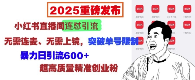 2025重磅发布：小红书直播间连怼引流，无需连麦、无需上镜，突破单号限制，暴力日引流600+云米网创-专注分享网络创业落地实操课程 – 全网首发_高质量项目输出云米网创