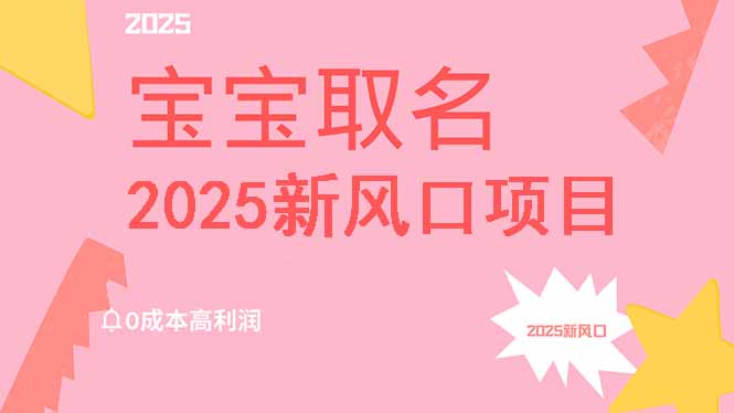 2025新风口项目宝宝取名，0成本高利润，附保姆级教程，月入过万不是梦云米网创-专注分享网络创业落地实操课程 – 全网首发_高质量项目输出云米网创