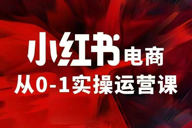 小红书电商运营，97节小红书vip内部课，带你实现小红书赚钱云米网创-专注分享网络创业落地实操课程 – 全网首发_高质量项目输出云米网创