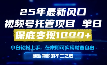 25年最新风口，视频号托管项目，单日保底变现1k+，手把手教学【揭秘】云米网创-专注分享网络创业落地实操课程 – 全网首发_高质量项目输出云米网创