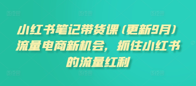小红书笔记带货课(更新25年2月)流量电商新机会，抓住小红书的流量红利云米网创-专注分享网络创业落地实操课程 – 全网首发_高质量项目输出云米网创