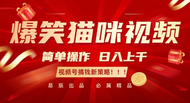 爆笑猫咪视频：简单操作，日入过K，视频号搞钱新策略【揭秘】云米网创-专注分享网络创业落地实操课程 – 全网首发_高质量项目输出云米网创