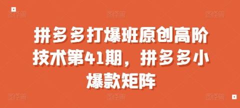 拼多多打爆班原创高阶技术第41期，拼多多小爆款矩阵云米网创-专注分享网络创业落地实操课程 – 全网首发_高质量项目输出云米网创