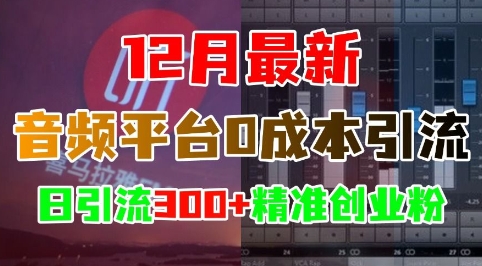 12月最新：音频平台0成本引流，日引流300+精准创业粉云米网创-专注分享网络创业落地实操课程 – 全网首发_高质量项目输出云米网创