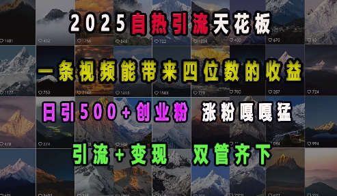 2025自热引流天花板，一条视频能带来四位数的收益，引流+变现双管齐下，日引500+创业粉，涨粉嘎嘎猛云米网创-专注分享网络创业落地实操课程 – 全网首发_高质量项目输出云米网创