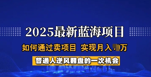 2025蓝海项目，普通人如何通过卖项目，实现月入过W，全过程【揭秘】云米网创-专注分享网络创业落地实操课程 – 全网首发_高质量项目输出云米网创