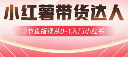 小红薯达人带货启航计划，3节直播课从0-1入门小红书云米网创-专注分享网络创业落地实操课程 – 全网首发_高质量项目输出云米网创