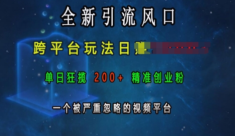 全新引流风口，跨平台玩法日入上k，单日狂揽200+精准创业粉，一个被严重忽略的视频平台云米网创-专注分享网络创业落地实操课程 – 全网首发_高质量项目输出云米网创