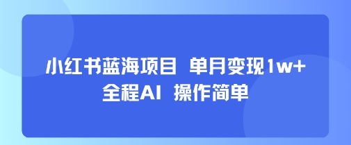 小红书蓝海项目 单月变现1w+ 全程AI 操作简单云米网创-专注分享网络创业落地实操课程 – 全网首发_高质量项目输出云米网创