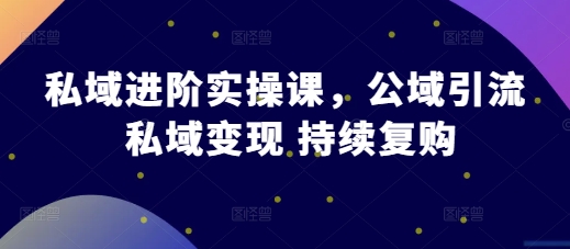 私域进阶实操课，公域引流 私域变现 持续复购云米网创-专注分享网络创业落地实操课程 – 全网首发_高质量项目输出云米网创