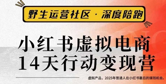 小红书虚拟电商14天变现训练营3.0，​虚拟产品，2025年普通人在小红书最后的搞钱机会云米网创-专注分享网络创业落地实操课程 – 全网首发_高质量项目输出云米网创