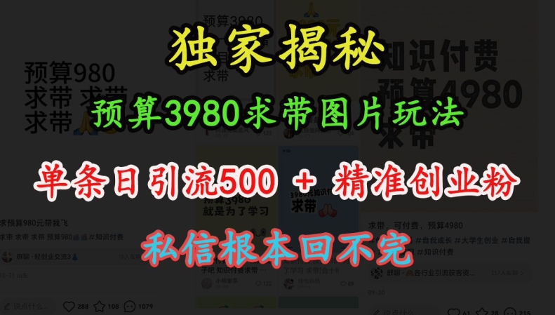 预算3980求带 图片玩法，单条日引流500+精准创业粉，私信根本回不完云米网创-专注分享网络创业落地实操课程 – 全网首发_高质量项目输出云米网创