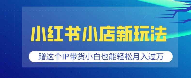 小红书小店新玩法，蹭这个IP带货，小白也能轻松月入过W【揭秘】云米网创-专注分享网络创业落地实操课程 – 全网首发_高质量项目输出云米网创