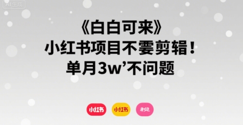 小白可来 小红书项目不需要剪辑 单月3w不是问题云米网创-专注分享网络创业落地实操课程 – 全网首发_高质量项目输出云米网创