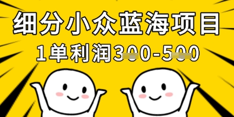 细分小众蓝海项目，一单利润3张，每月收入稳定过1w+云米网创-专注分享网络创业落地实操课程 – 全网首发_高质量项目输出云米网创