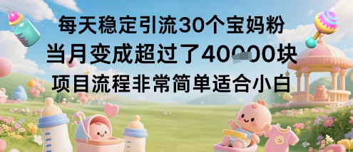 每天稳定引流30个宝妈粉当月变成超过了1W+项目流程非常简单适合小白云米网创-专注分享网络创业落地实操课程 – 全网首发_高质量项目输出云米网创