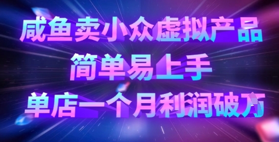 咸鱼卖小众虚拟产品，简单易上手，单店一个月利润破W云米网创-专注分享网络创业落地实操课程 – 全网首发_高质量项目输出云米网创