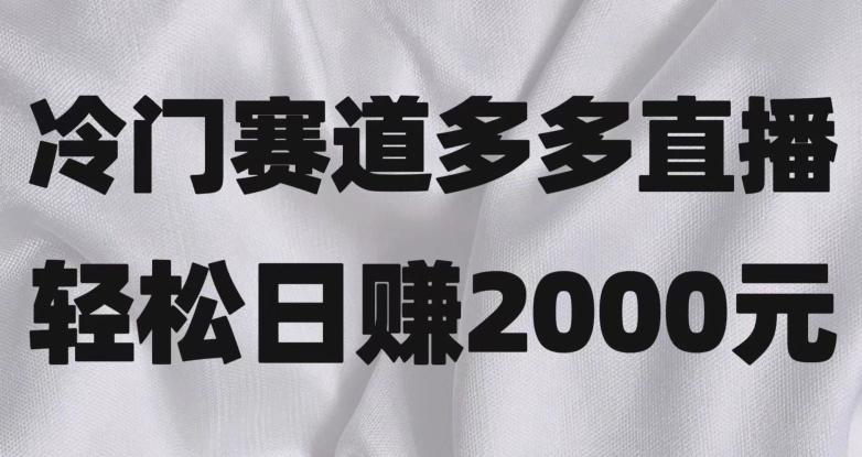 冷门赛道拼多多直播，简单念稿子，日收益2000＋【揭秘】云米网创-专注分享网络创业落地实操课程 – 全网首发_高质量项目输出云米网创