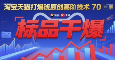 淘宝天猫打爆班原创高阶技术第70期：标品干爆云米网创-专注分享网络创业落地实操课程 – 全网首发_高质量项目输出云米网创