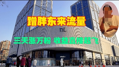 蹭胖东来流量，三天涨万粉，收益直接起飞云米网创-专注分享网络创业落地实操课程 – 全网首发_高质量项目输出云米网创
