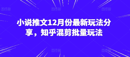 小说推文12月份最新玩法分享，知乎混剪批量玩法云米网创-专注分享网络创业落地实操课程 – 全网首发_高质量项目输出云米网创