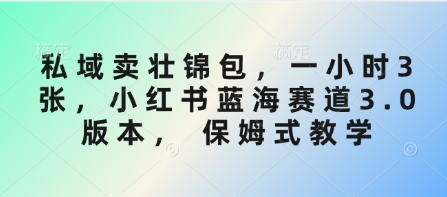 私域卖壮锦包，一小时3张，小红书蓝海赛道3.0版本， 保姆式教学云米网创-专注分享网络创业落地实操课程 – 全网首发_高质量项目输出云米网创