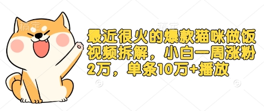 最近很火的爆款猫咪做饭视频拆解，小白一周涨粉2万，单条10万+播放(附保姆级教程)云米网创-专注分享网络创业落地实操课程 – 全网首发_高质量项目输出云米网创