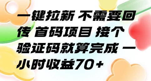 一键拉新 不需要回传 首码项目 接个验证码就算完成 一小时收益70+【揭秘】云米网创-专注分享网络创业落地实操课程 – 全网首发_高质量项目输出云米网创