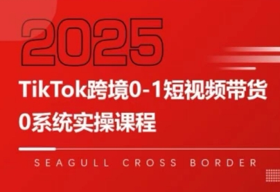 大亿老师·TikTok跨境0-1短视频带货云米网创-专注分享网络创业落地实操课程 – 全网首发_高质量项目输出云米网创