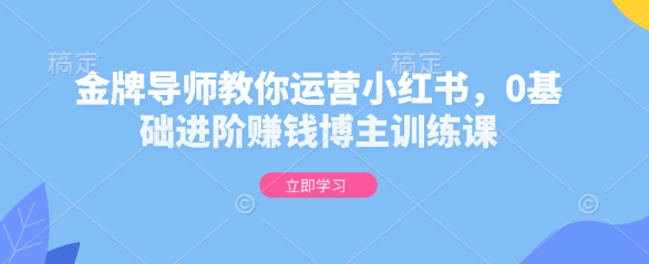 金牌导师教你运营小红书，0基础进阶赚钱博主训练课云米网创-专注分享网络创业落地实操课程 – 全网首发_高质量项目输出云米网创