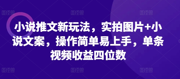 小说推文新玩法，实拍图片+小说文案，操作简单易上手，单条视频收益四位数云米网创-专注分享网络创业落地实操课程 – 全网首发_高质量项目输出云米网创