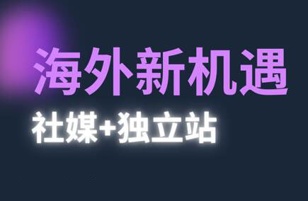 棕榈·2025出海新机遇(社媒+独立站)云米网创-专注分享网络创业落地实操课程 – 全网首发_高质量项目输出云米网创