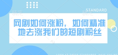 网剧如何涨粉，如何精准地去涨我们的短剧粉丝云米网创-专注分享网络创业落地实操课程 – 全网首发_高质量项目输出云米网创