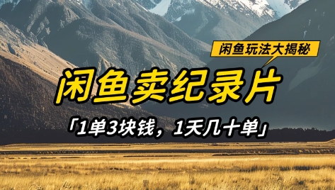 闲鱼卖纪录片1单3块钱，1天几十单，项目稳定有潜力云米网创-专注分享网络创业落地实操课程 – 全网首发_高质量项目输出云米网创